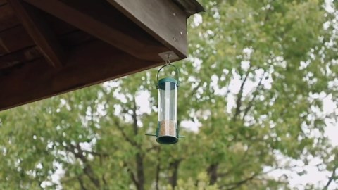 Adhesive Ceiling Hooks，10 Pack No Drill Ceiling Hanging Hook for Hanging Plants Lanterns,Wind Chimes Stainless Steel Outdoor Adhesive Hooks