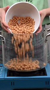 Creamy Homemade Hummus Dip Recipe