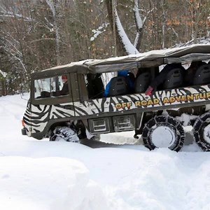 1.9K views · 21 reactions | Epic adventures are awaiting! | Alpine Adventures NH | Facebook