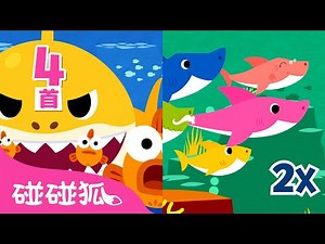[英·中双语版] 鲨鱼宝宝加速版 (1.5倍 + 2倍速）｜鲨鱼宝宝 嘟噜噜嘟噜｜1+1｜鲨鱼宝宝人气儿歌｜中文儿歌｜碰碰狐Pinkfong