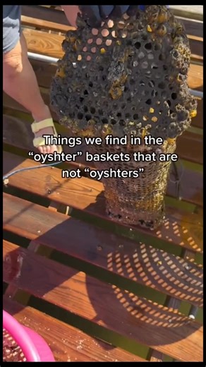 Tired Actor on Instagram: "Give it back • • #tiktok #memes #funny #viral #comedy"