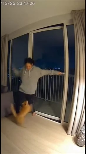 Cat Warnings on Instagram: "A home security camera captures the moment a cat completely loses control — for a reason. A young woman reaches for her balcony door when her orange tabby suddenly snaps. Screaming feral meows. Sprinting. Slamming into her legs. Jumping, scratching, and physically tackling her backward, refusing to let her open the door. She tries to step forward again — and the cat attacks the movement, blocking her nonstop. Then everything explodes. A massive BBQ gas tank explosion