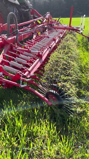 Weizen striegeln mit einem Rollstriegel | Weeding wheat | AEROSTAR-ROTATION Einböck YT-Shorts 111