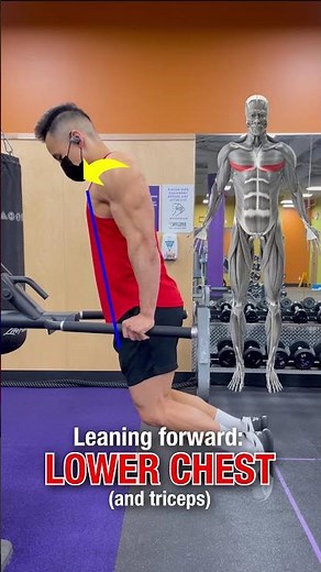 DIPS: Muscles Worked (DO THIS!) #shorts