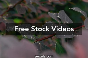 Techonology Background Videos, Download The BEST Free 4k Stock Video Footage & Techonology Background HD Video Clips