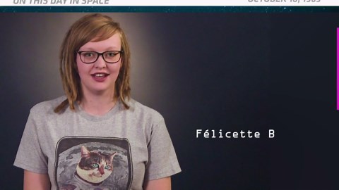 OTD in Space - October 18: Félicette Becomes the 1st Cat in Space!