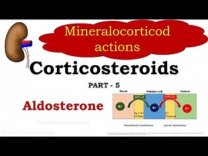 Corticosteroids Part 5 | Mineralocorticoids | Aldosterone | Pharmacology