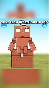 Steve know what Is Use Copper Update 💀 #minecraft #animation #tweening #shorts