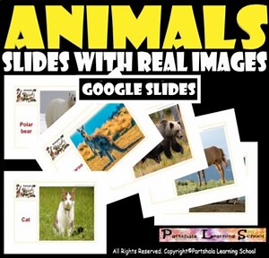Animals – Image Slides, Activity slides, all real images. GOOGLE SLIDES