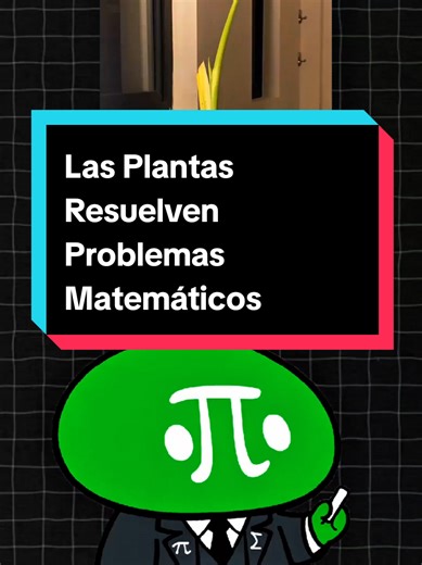 Las Plantas Resuelven Problemas Matemáticos #aprendeentiktok #curiosidades #biologiadesdecero #matematicasdesdecero