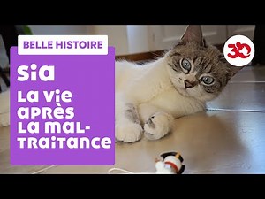 Une nouvelle vie pour Sia