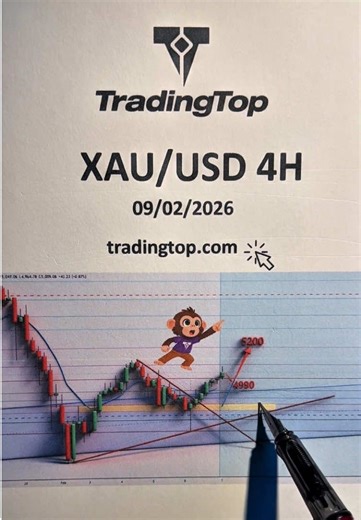 Understanding Commodities and Forex Trading Insights