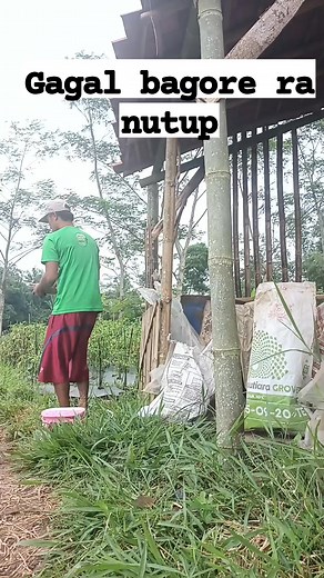 #komedi #lelucon #tahantawa @sorotan Novie Tata semua orang | Novie Tata