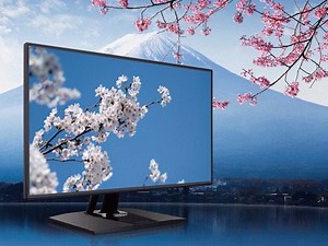 Colors are starting to bloom all around. Where will you be snapping these colorful shots? Add #ColorProSpring in your Spring photos for a chance to be featured on our page. | ViewSonic ColorPro