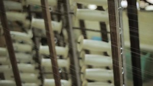 46K views · 300 reactions | Watch the nearly 5,000 year-old process that supplies the world with silk. | Vox | Facebook