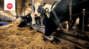 Maatalousyrittäjillä suuria vaikeuksia investointien rahoittamisessa: "Meillä ei ole kohta huoltovarmuutta"