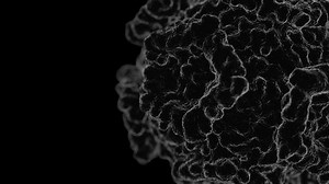 Rhinovirus Picornavirus microscope view rotating 360 degrees closeup black background floating CGI 3D