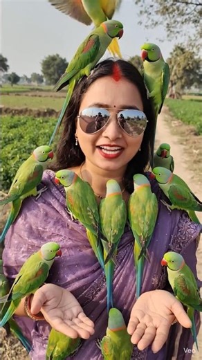 Parrot 🦜#parrot #aiparrot #ai #aivideo #yt #ytshorts #ytshortsindia #youtuber #vlog #aivlog