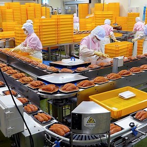 Clean and Healthy! Korean Pollock roe Mass Processing Factory | QuiQue Hu
