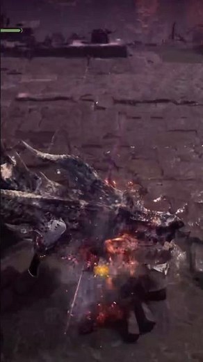 SnS Fatalis Techniques: How to Punish the Stationary Wheelhouse Flamethrower