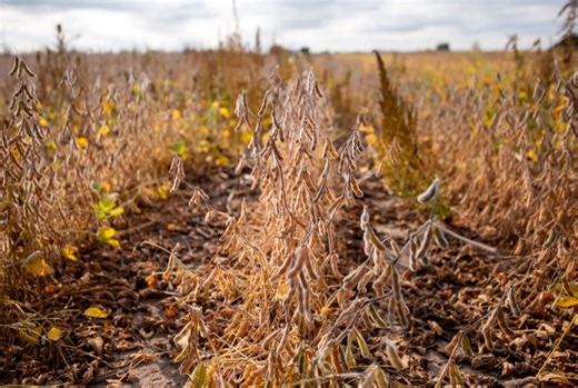 High pesticide use counties see more late-stage cancer