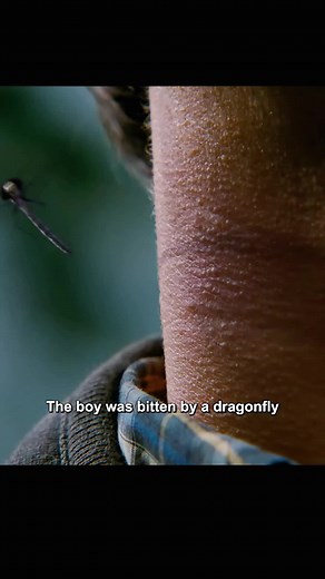 Dragonfly Man: Jesse's Superhero Journey