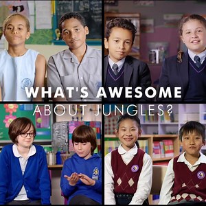 5.9K views · 287 reactions | Why are jungles so important for the future of our planet?  School children from around the world tell us why jungles are awesome and how we can keep them standing forever. #ShareOurPlanet Our Planet | WWF-Australia | Facebook