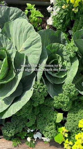 If your algorithm has been a little…wilted lately, watching this should fix it! #garden #nature