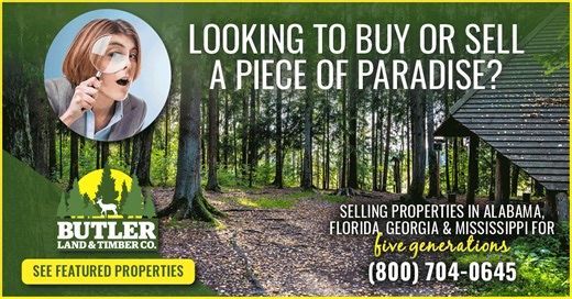 We are extremely honored to represent one of the premier real estate companies in the southeastern USA. If you are looking to buy or sell give the Butler team an opportunity to garner your faith in them. For more information visit ButlerLandandTimber.com - Their site has a very convenient searchable function for states, regions, and more. | Da Pop Advertising | Facebook