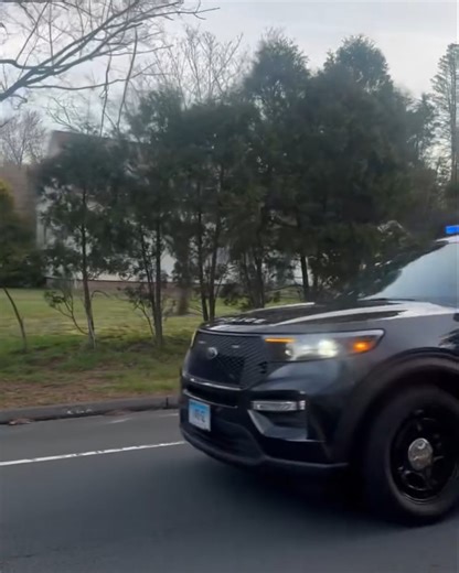 3.2M views · 139K reactions | There was no horsing around on this call. From the Glastonbury Police Department. | Law Enforcement Talk Radio Show | Facebook