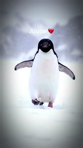 AIone 💔Feel this song_--__---_💞❤️ #song YouTube#slowedandreverbslowedandreverb #song