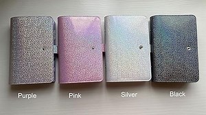 Budget Planner Deutsch, A6 Budget Binder Planer with Ordner Organizer/Geld Sparen Mappe for Cash Stuffing, 6 Ringbuch Budgetplaner Buch/Notizbuch mit Geldumschläge/Blätter/Etikett Aufkleber (Silber)