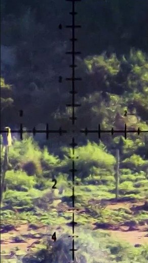 Record-breaking hunting shot on Vervet Monkey