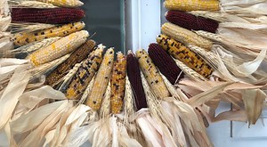 These 3 cornstalk wreaths are literally the easiest projects for fall