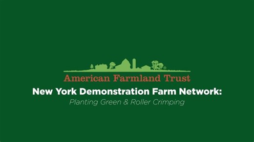 Farming in New York | New York Demonstration Farm: Planting Green and Roller Crimping | Aaron Ristow