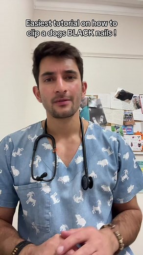 How to Clip Black Dog Nails: Easy Tutorial