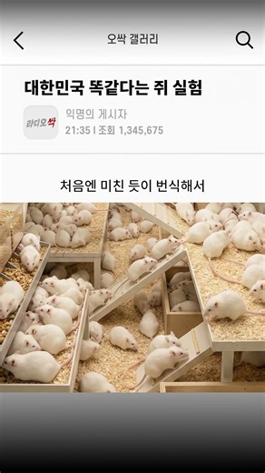A rat experiment that is exactly like the reality of South Korea?