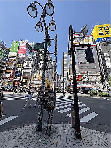 Japan✨新宿のゴジラ🦖/GODZILLA/Tokyo