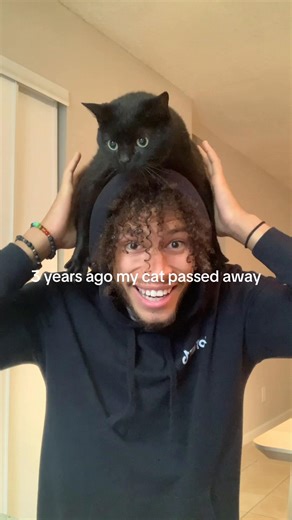 the cost of going viral I guess.. | zach pines cat