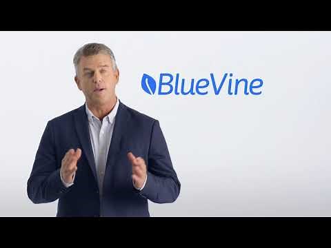 BlueVine Business Lines of Credit