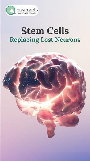 The Power of #StemCells to Replace Lost Neurons | #regenerativemedicine