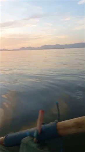 O pescador solitário