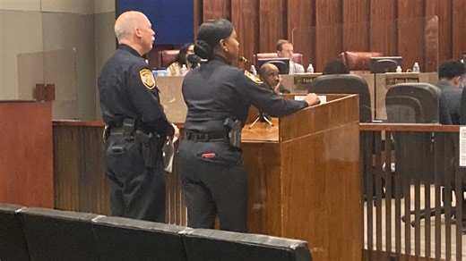 The challenges & solutions Memphis Police leaders say they face in the fight against crime