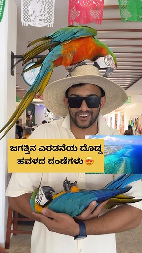 Basavaraj Katti on Instagram: "Worlds Second longest coral reef mesoamerican reef ❤️must watch video. Beautiful macaws from mexico follow @fit_karunadu for more videos"