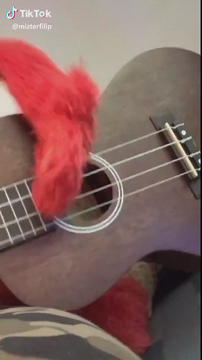 Elmo Cantando