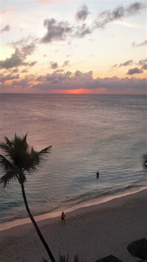 Best beaches in Aruba to watch the sunset 🌅✨ 🌊 Eagle Beach – Located near Oranjestad, this white-sand beach with turquoise waters is famous for its iconic Divi-Divi trees and breathtaking sunsets. 🌴 Palm Beach – Situated in Aruba’s hotel zone, it’s perfect for watching the sun dip below the horizon from a beach bar or during a peaceful seaside stroll. ⛵ Arashi Beach – In the island’s northern area, near the California Lighthouse, this tranquil spot boasts crystal-clear waters and a serene atm