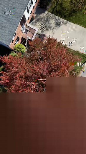 7.1K views · 242 reactions | Those colors are changing in Western Pennsylvania. #fall #foliage #fallfoliage #colirs #drone #dji #pa #nature #outdoors #leaves #leaf #autumn #pittsburgh #pgh | Ray Petelin Weather | Facebook