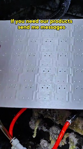 TELIJIA trên TikTok