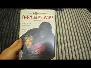 My Clamshell VHS Collection (2023 Edition) Part 6