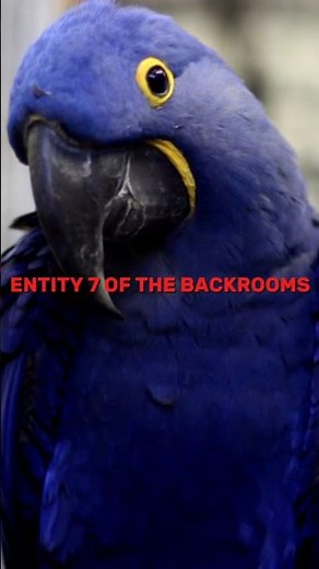 ☁️ - BACKROOMS - ☁️ Entity 7 Jerry EXPLAINED! ( Found Footage ) #shorts #backrooms #creepypasta